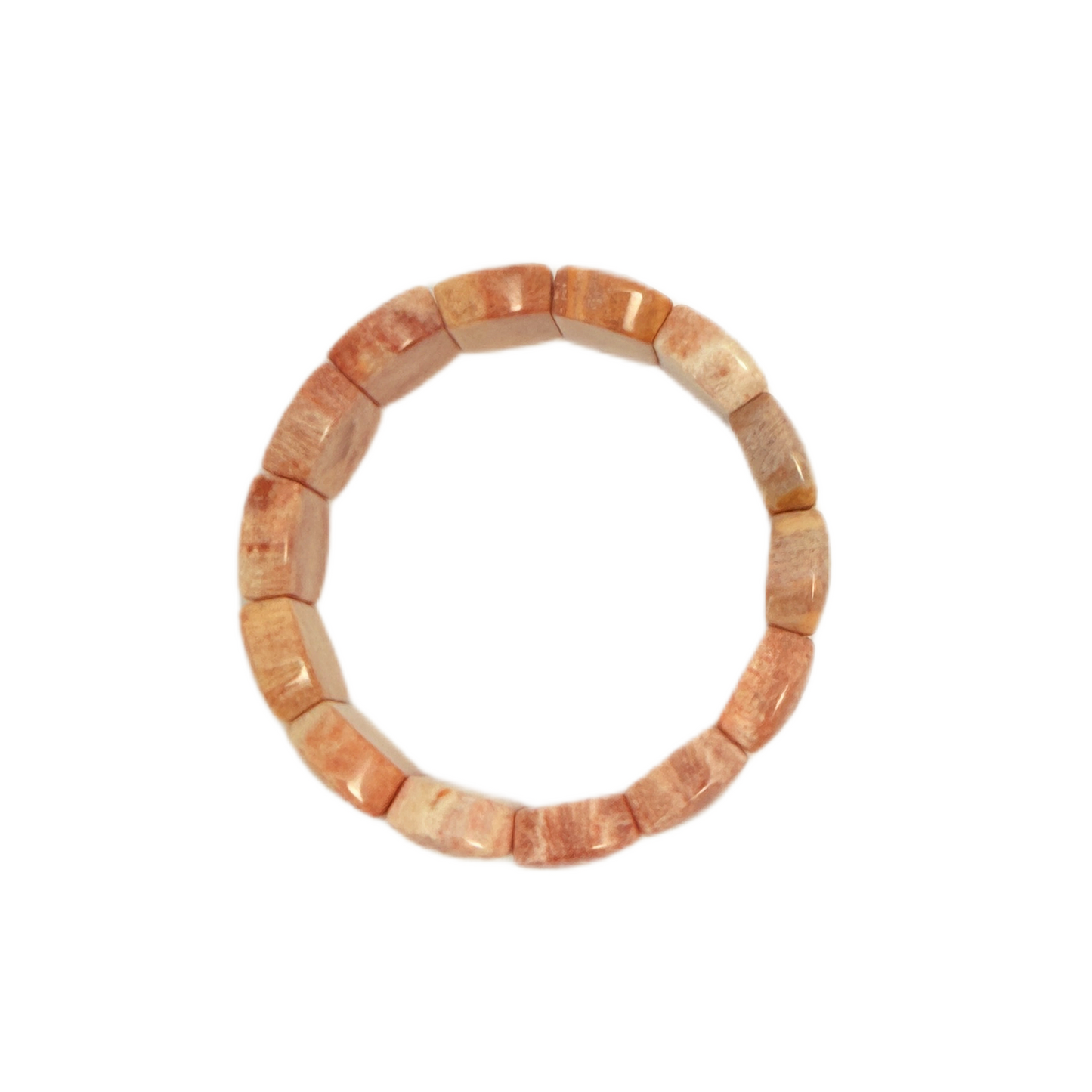 Natural Coral Fossil Bracelet