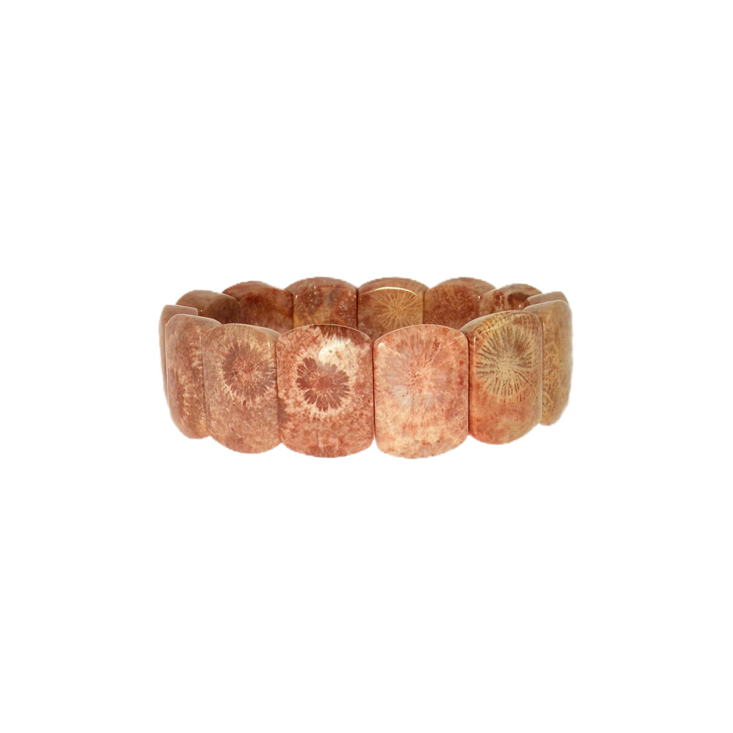 Natural Coral Fossil Bracelet