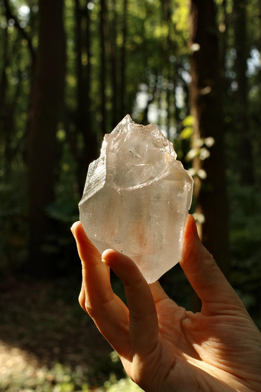 Zen Rituals: Daily Practices for Calm & Balance