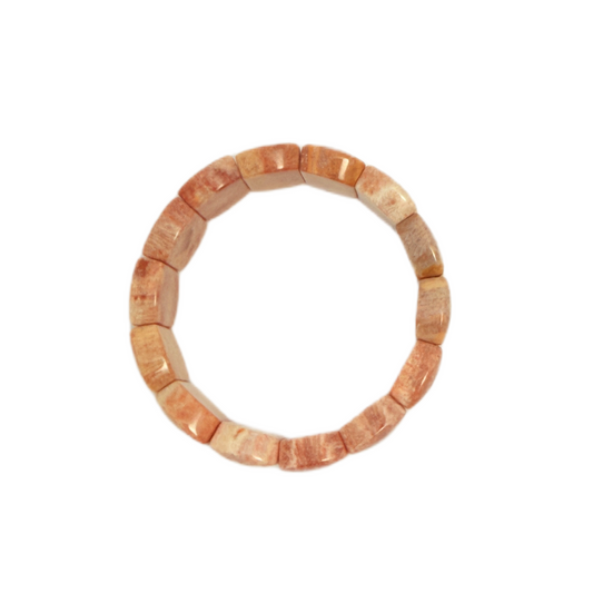 Natural Coral Fossil Bracelet