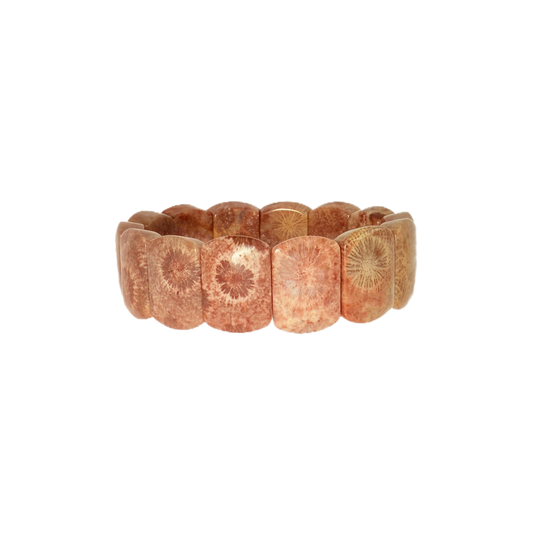 Natural Coral Fossil Bracelet